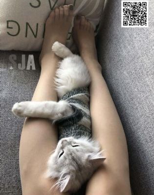 环太平洋2:雷霆再起免费观看_免费超清在线观看