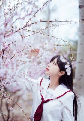 扫黑风暴电影免费观看完整版_在线视频免费观看